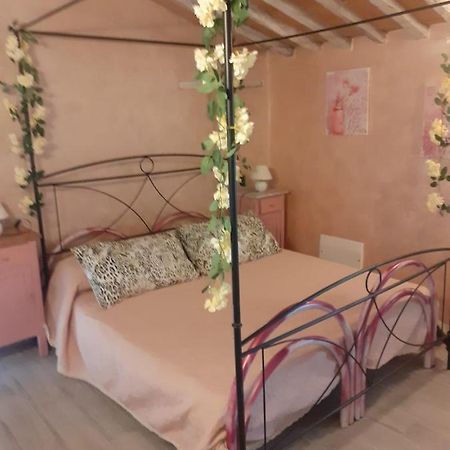 Splendido Rustico Shabby Appartement Capannori Buitenkant foto