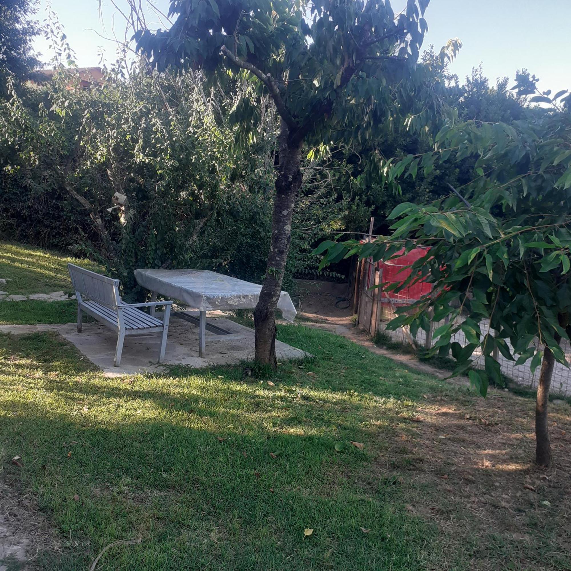 Splendido Rustico Shabby Appartement Capannori Buitenkant foto
